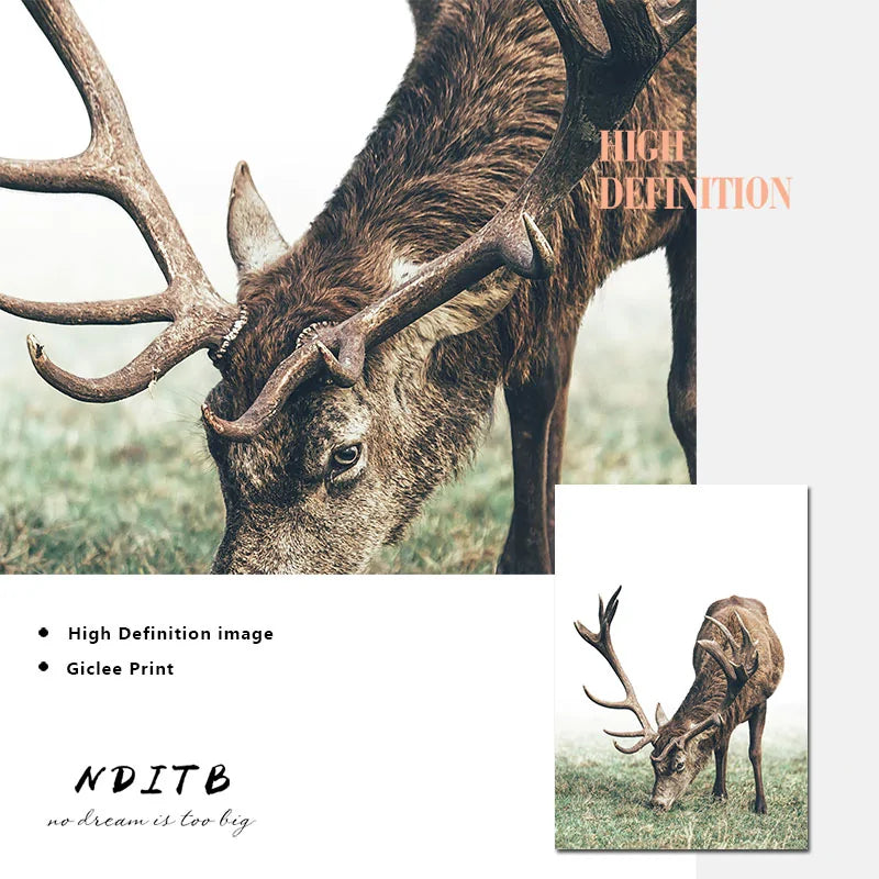 Scandinavian Poster Nordic Style Deer